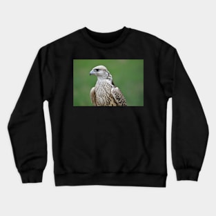 Saker Falcon Crewneck Sweatshirt